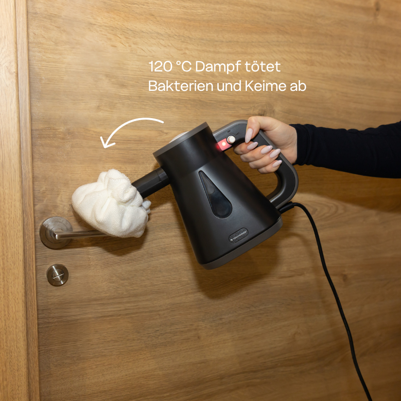 TS Compact Handdampfreiniger