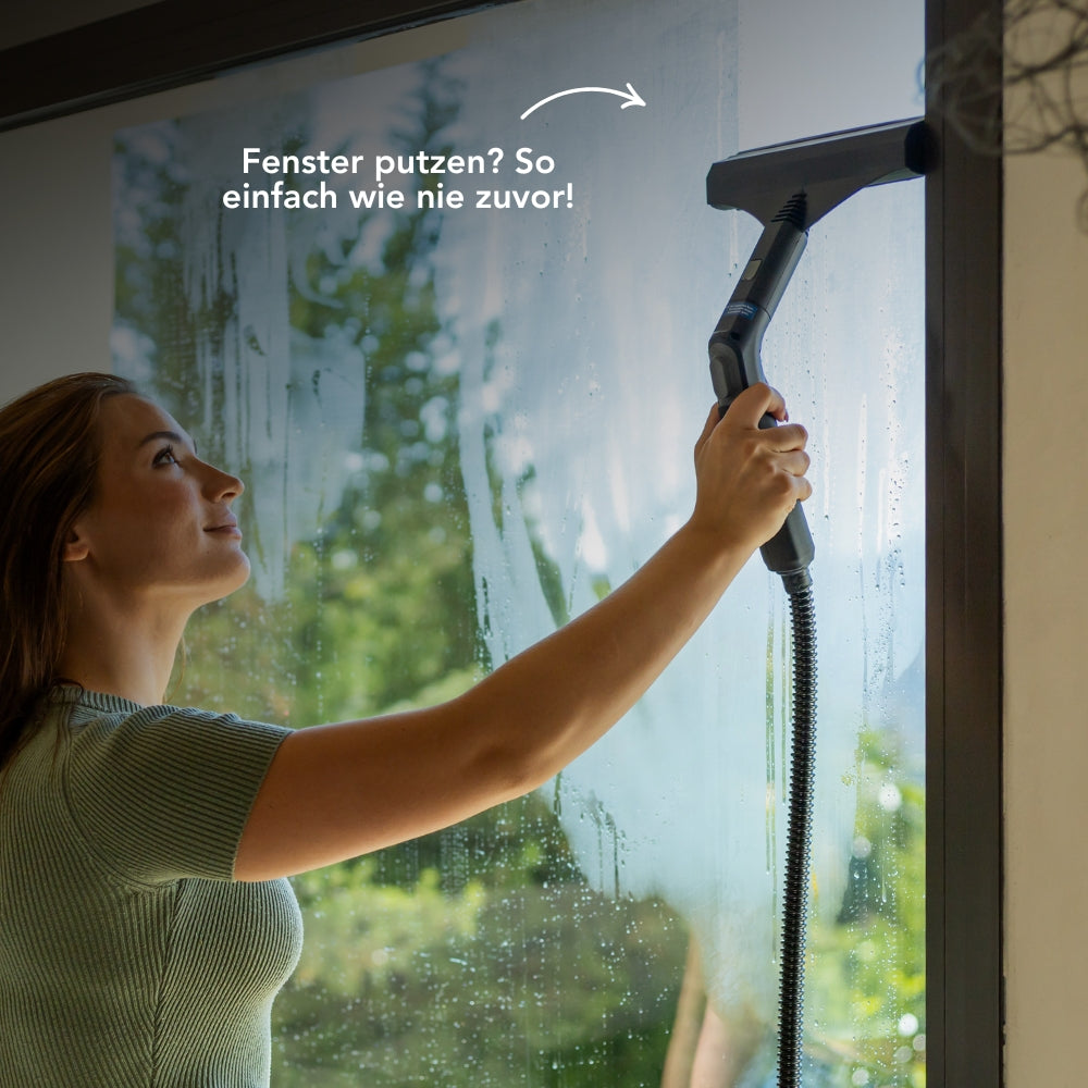 TS2 Performance Dampfreiniger