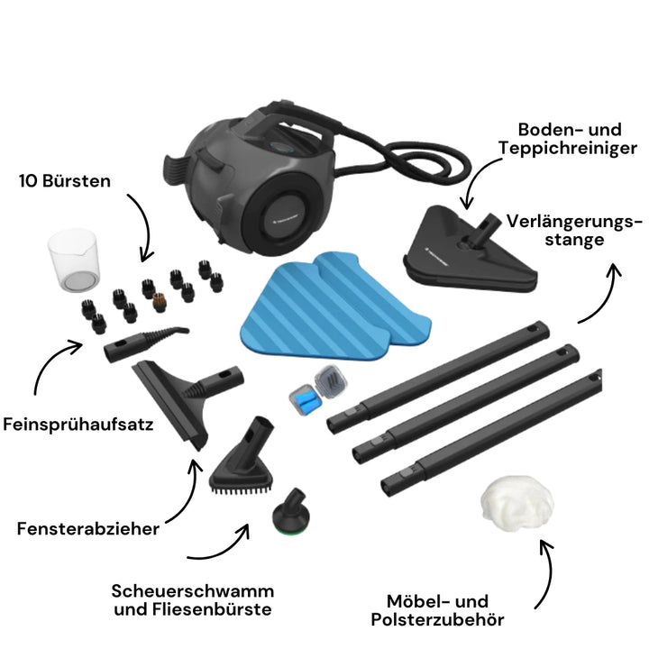 TS2 Performance Dampfreiniger