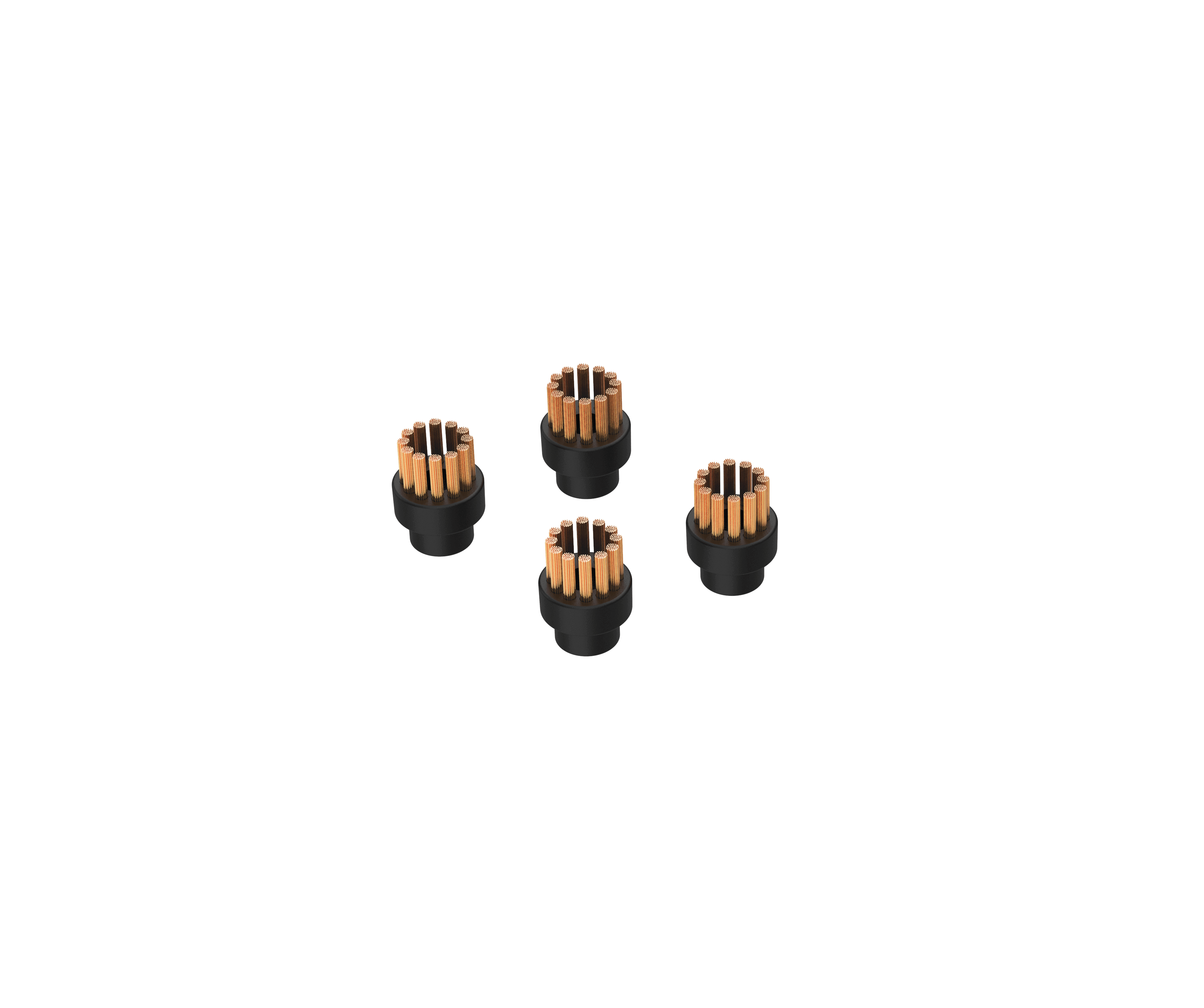 Zusätzlicher Satz von 4 Stahlbürsten TS2