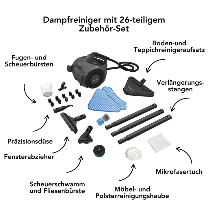 TS2 Performance Dampfreiniger