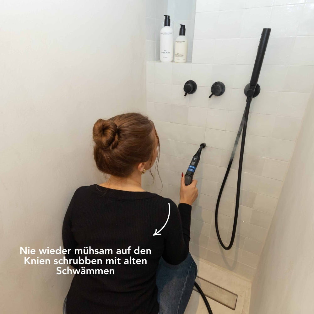 TS2 Performance Dampfreiniger